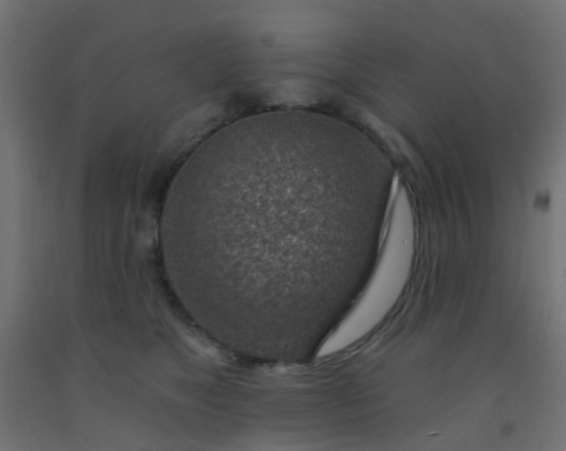 X0000092300517200709281329