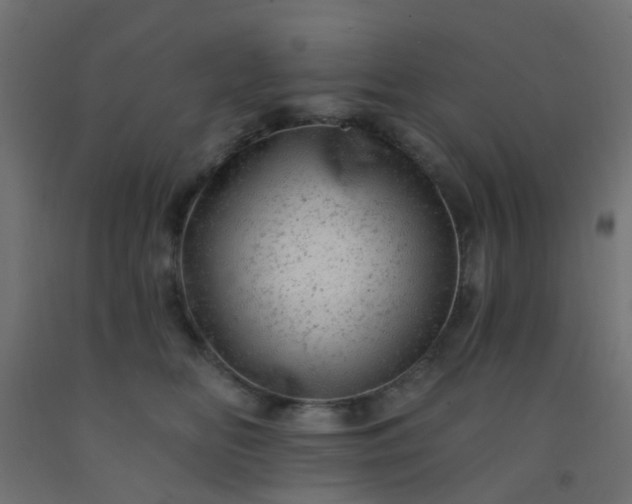 X0000092300518200709281329