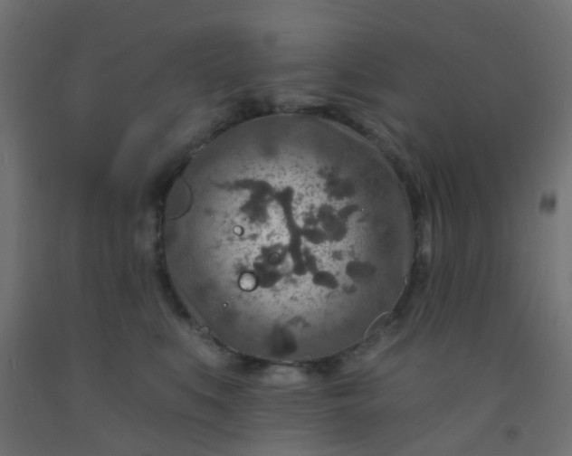 X0000092300519200709281329