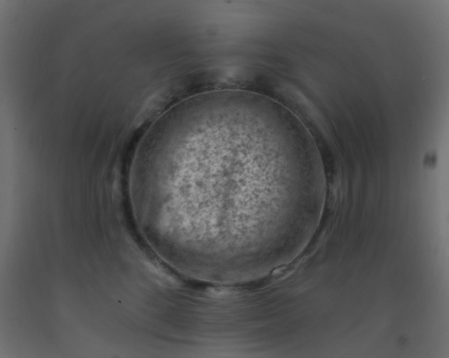 X0000092300520200709281329