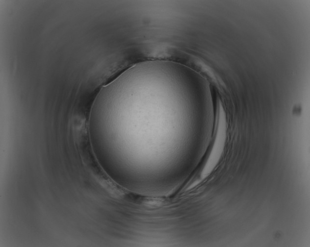 X0000092300521200709281329