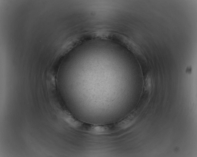 X0000092300522200709281329