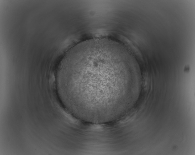 X0000092300523200709281329