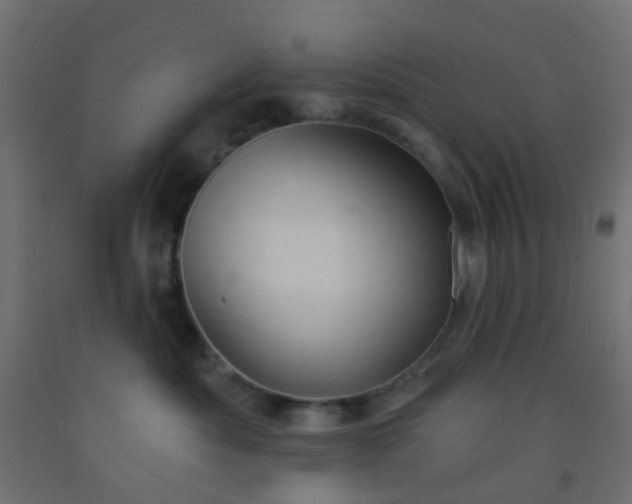 X0000092300525200709281329