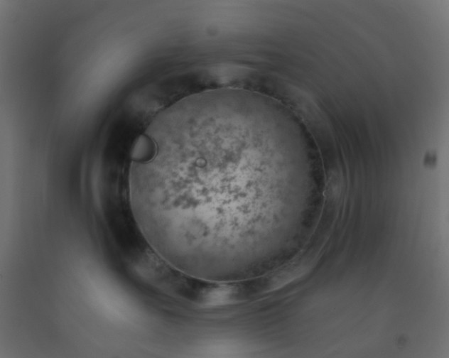 X0000092300527200709281328