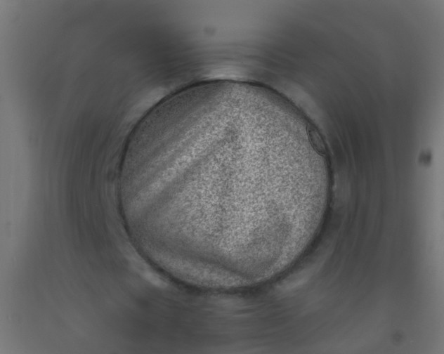 X0000092300529200709281328