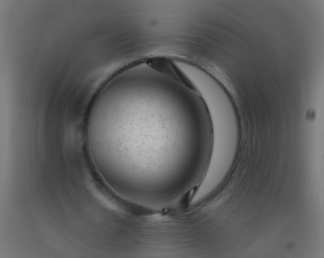 X0000092300530200709281328