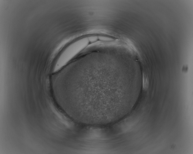 X0000092300531200709281328