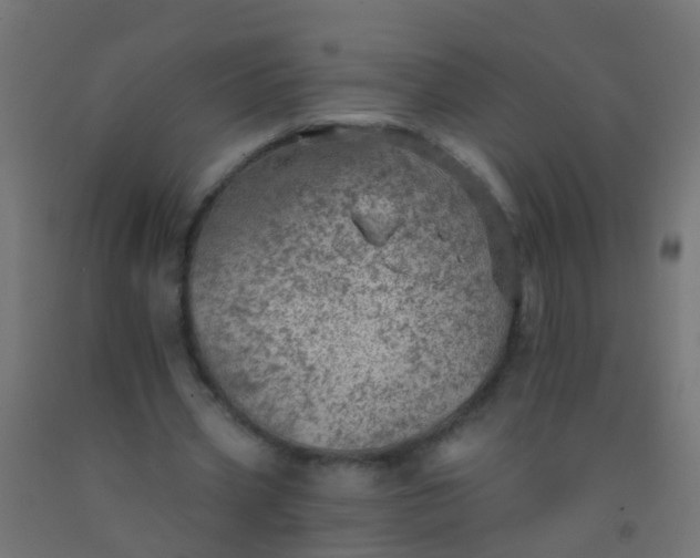 X0000092300533200709281328