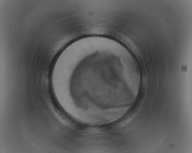 X0000092300534200709281328