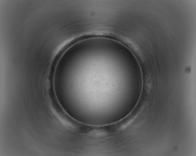 X0000092300536200709281328