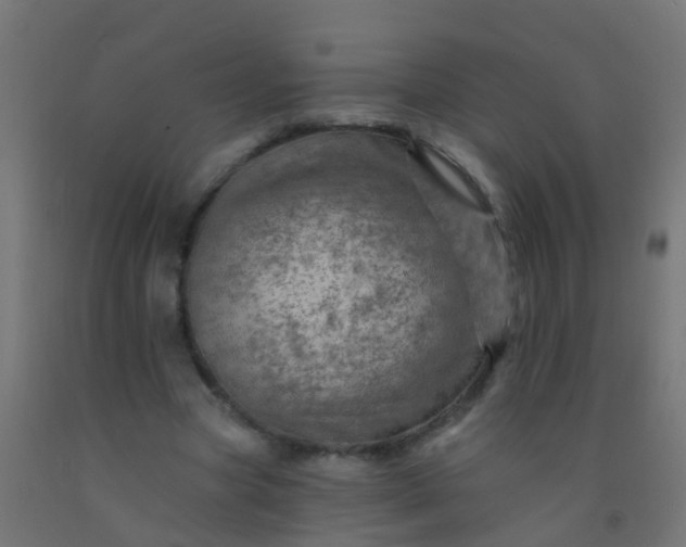 X0000092300537200709281328