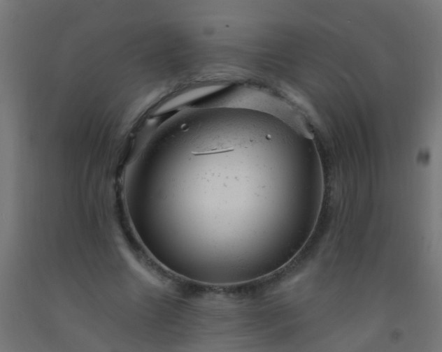 X0000092300538200709281328