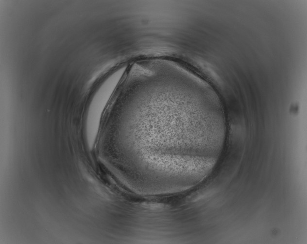 X0000092300539200709281328