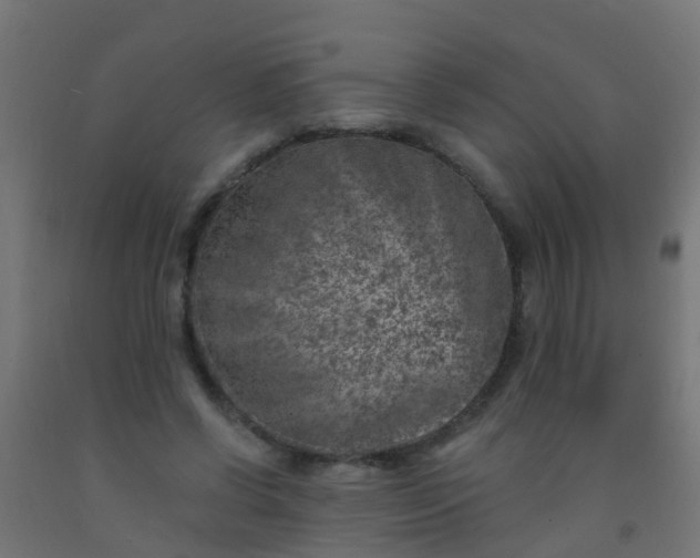 X0000092300542200709281328