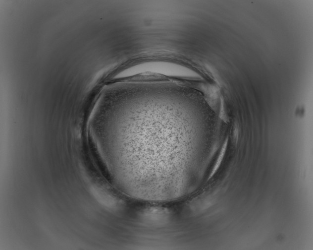 X0000092300543200709281328