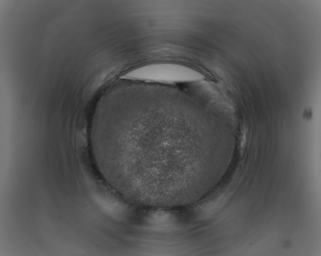 X0000092300547200709281328