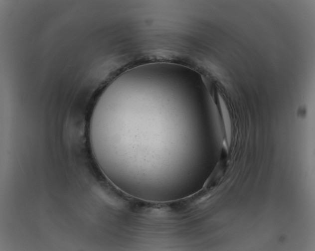 X0000092300548200709281328