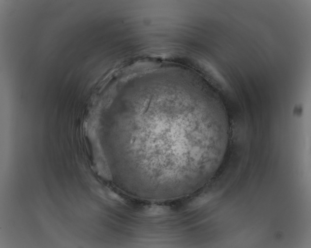 X0000092300549200709281328