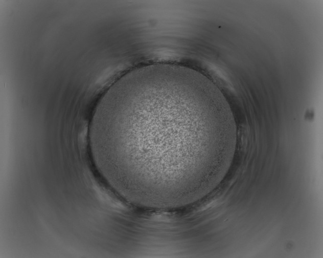 X0000092300550200709281328