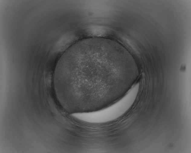 X0000092300551200709281328