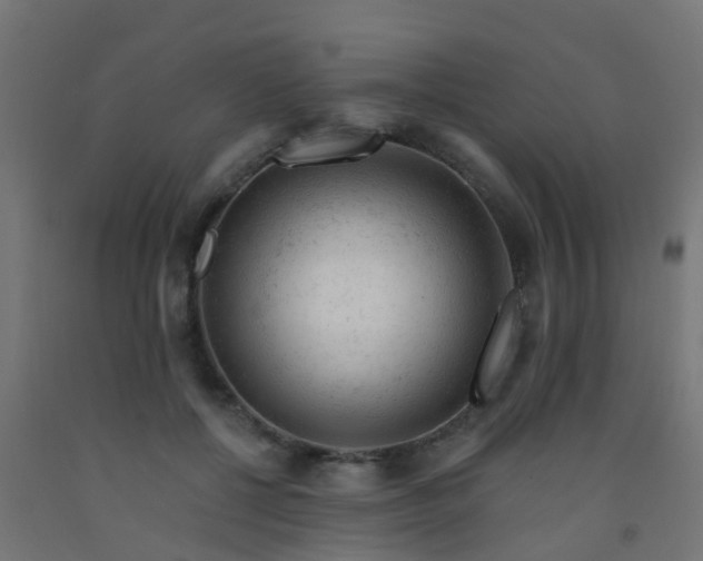 X0000092300552200709281328