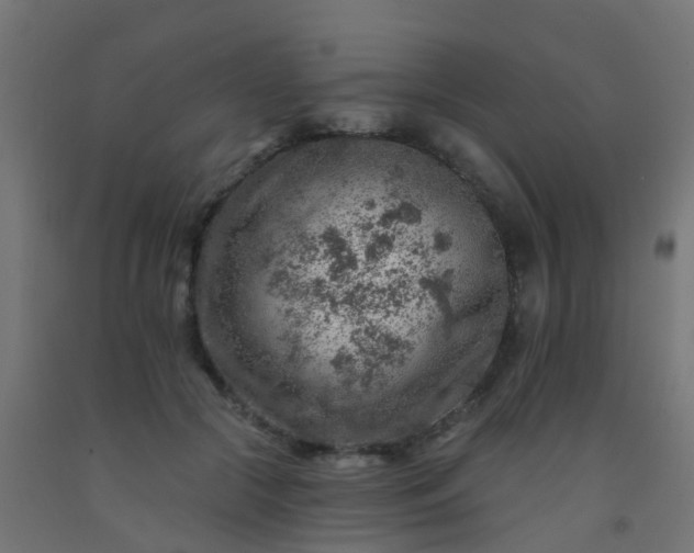 X0000092300553200709281328