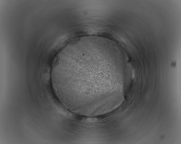 X0000092300554200709281328