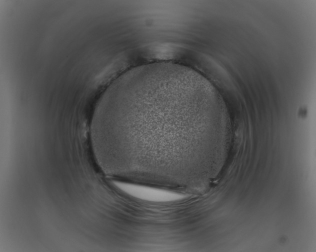 X0000092300555200709281328