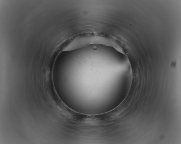 X0000092300556200709281328