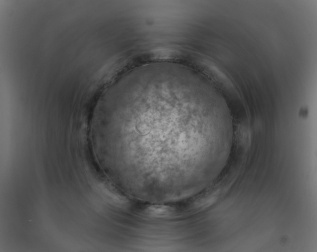 X0000092300557200709281328