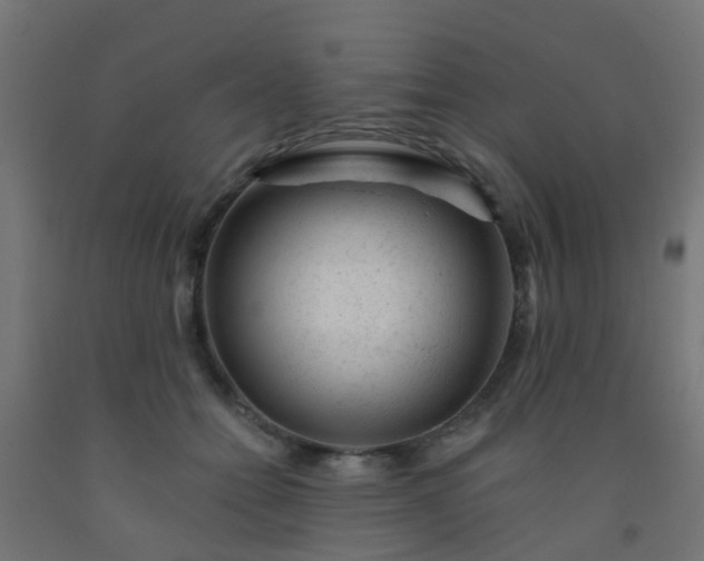 X0000092300558200709281328