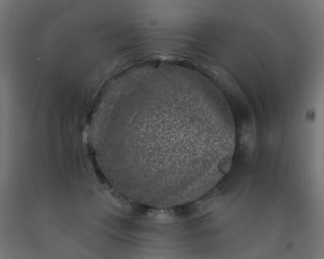 X0000092300559200709281328