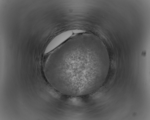 X0000092300561200709281328