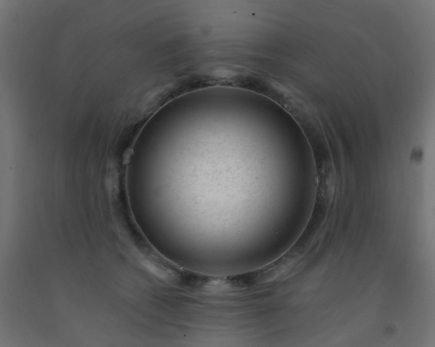 X0000092300562200709281328