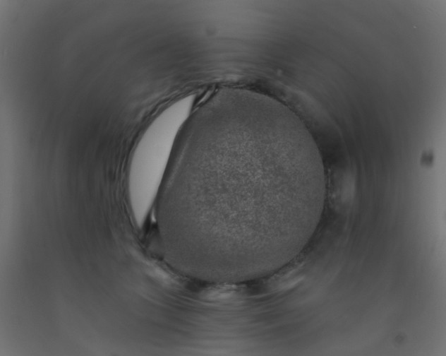 X0000092300563200709281328