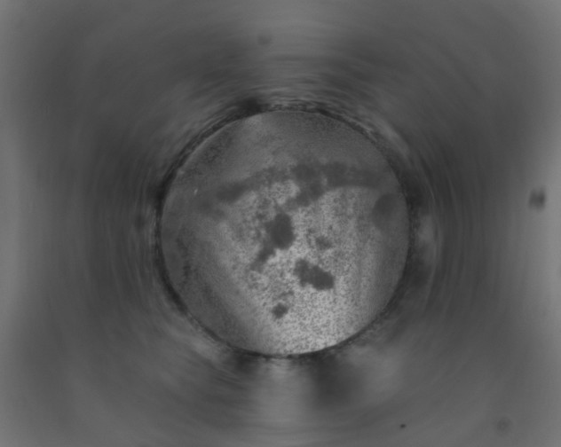 X0000092300565200709281328