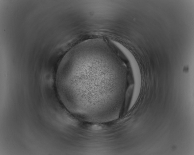 X0000092300566200709281328