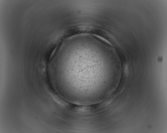 X0000092300567200709281328