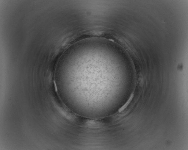 X0000092300568200709281328