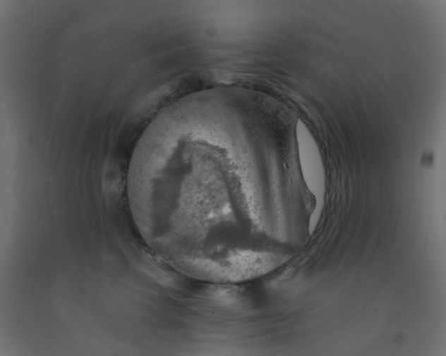 X0000092300569200709281328