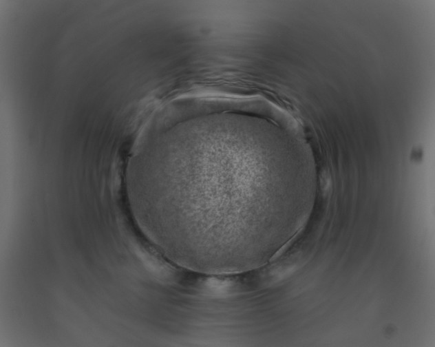 X0000092300570200709281328