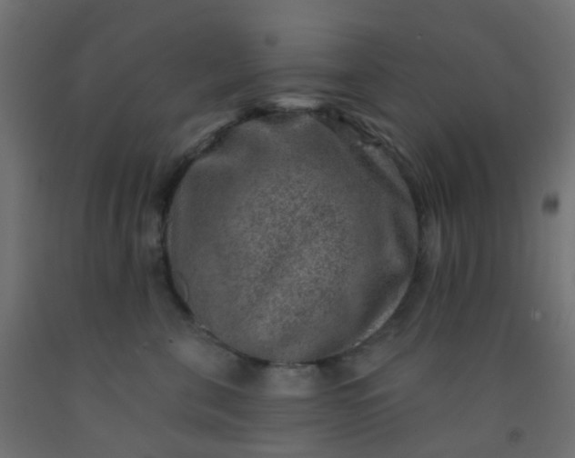 X0000092300571200709281328