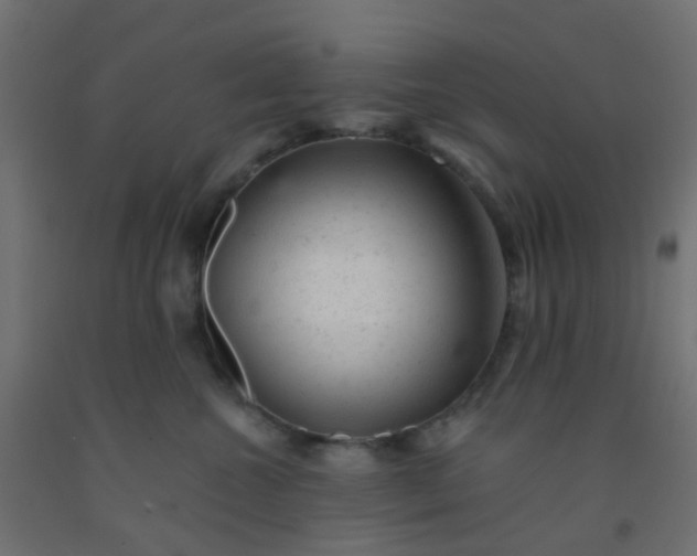 X0000092300572200709281328