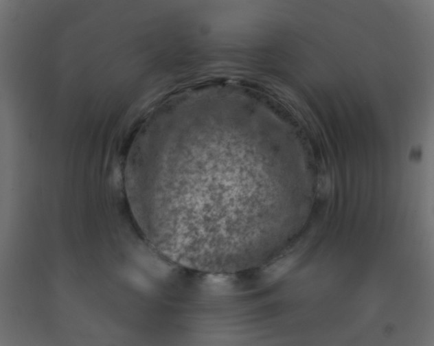 X0000092300573200709281328