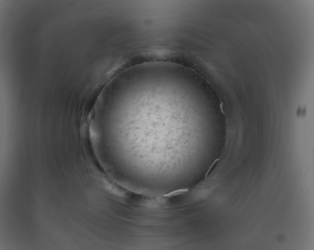 X0000092300576200709281328