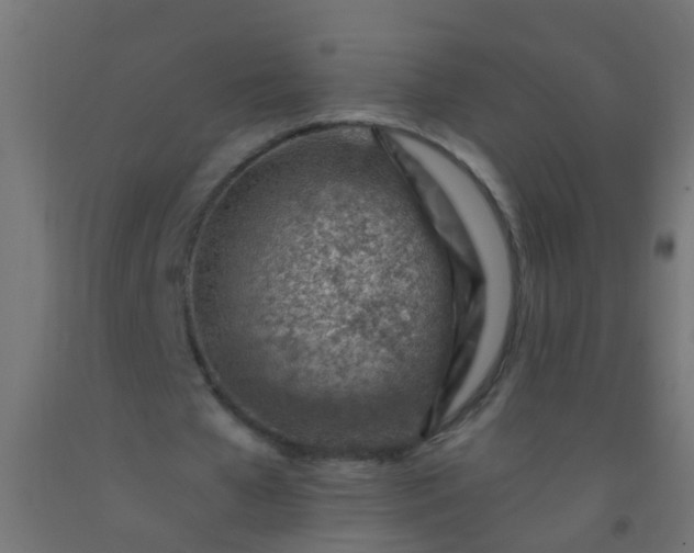 X0000092300577200709281328