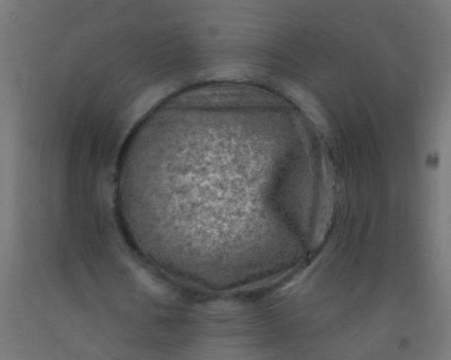 X0000092300578200709281328