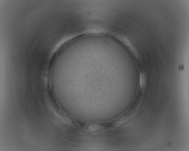 X0000092300579200709281328