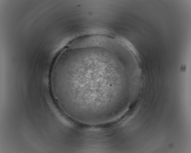 X0000092300581200709281328